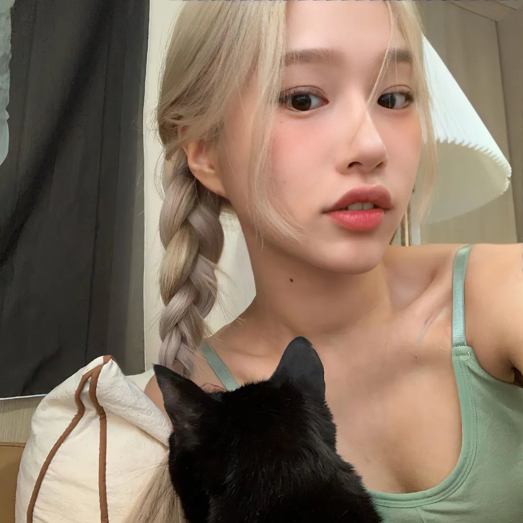 猎鹰飞过